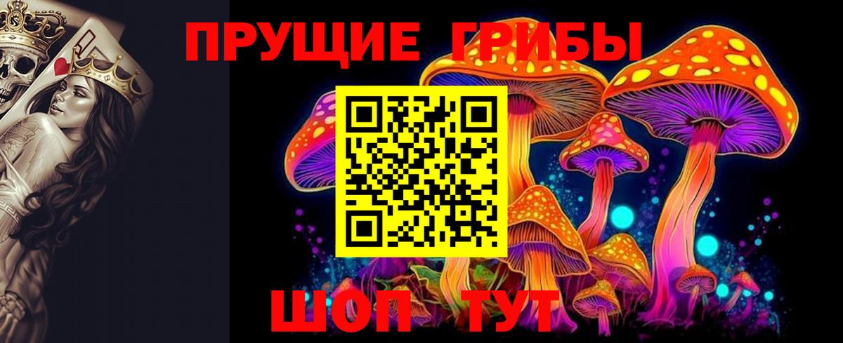 Псилоцибиновые грибы Psilocybine cubensis Шелехов